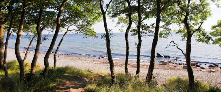 Buy a holiday apartment in Kellenhusen