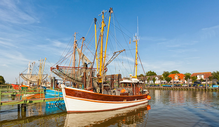 Ferienimmobilie Makler Nordsee Niedersachsen Fedderwardersiel