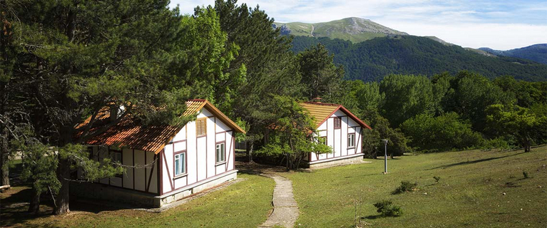Marketing holiday properties