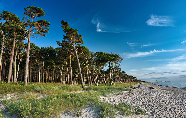 Ferienimmobilien von Boltenhagen bis Zingst