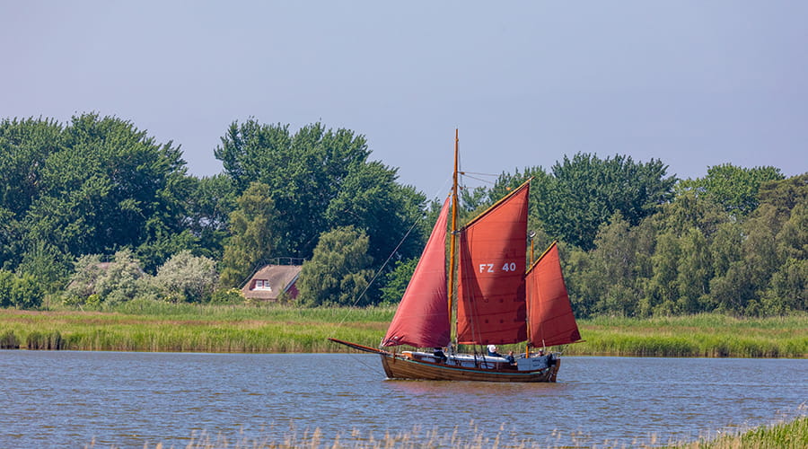 Tiny House kaufen an der Ostsee am Bodden - Zingster Strom