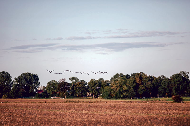 Tiny House kaufen an der Ostsee am Bodden - Freizeit