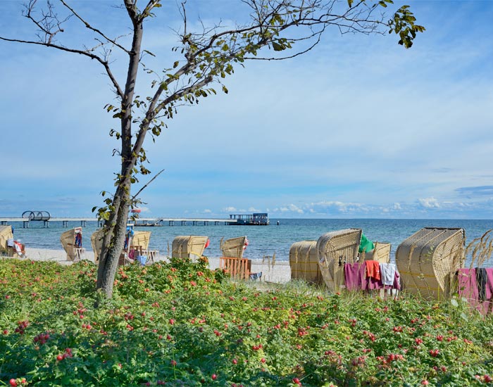 Strand Ostsee Ferienwohnung kaufen