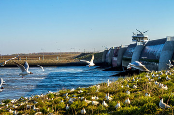 Buy holiday flat North Sea Eidersperrwerk