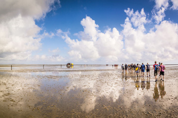 Buy holiday flat North Sea Wadden Sea