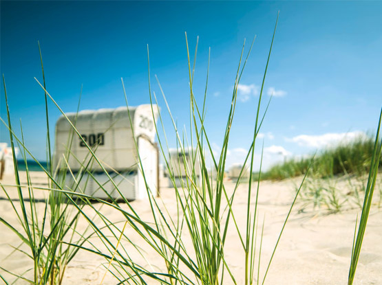 Ferienhaus kaufen Rügen Strand