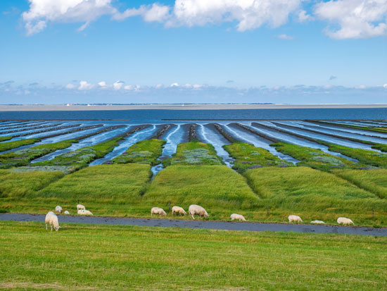 Buy a holiday property in Dorum-Neufeld