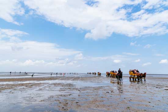 Buy a holiday property in Tossens