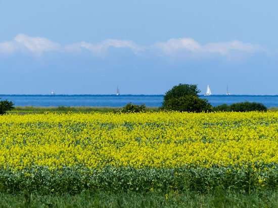 Buying a holiday property on Fehmarn
