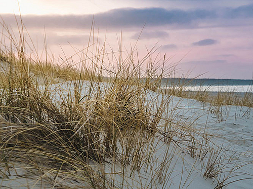 Wohnung Kauf 23669 Timmendorfer StrandMaximales Flair am Timmendorfer Strand