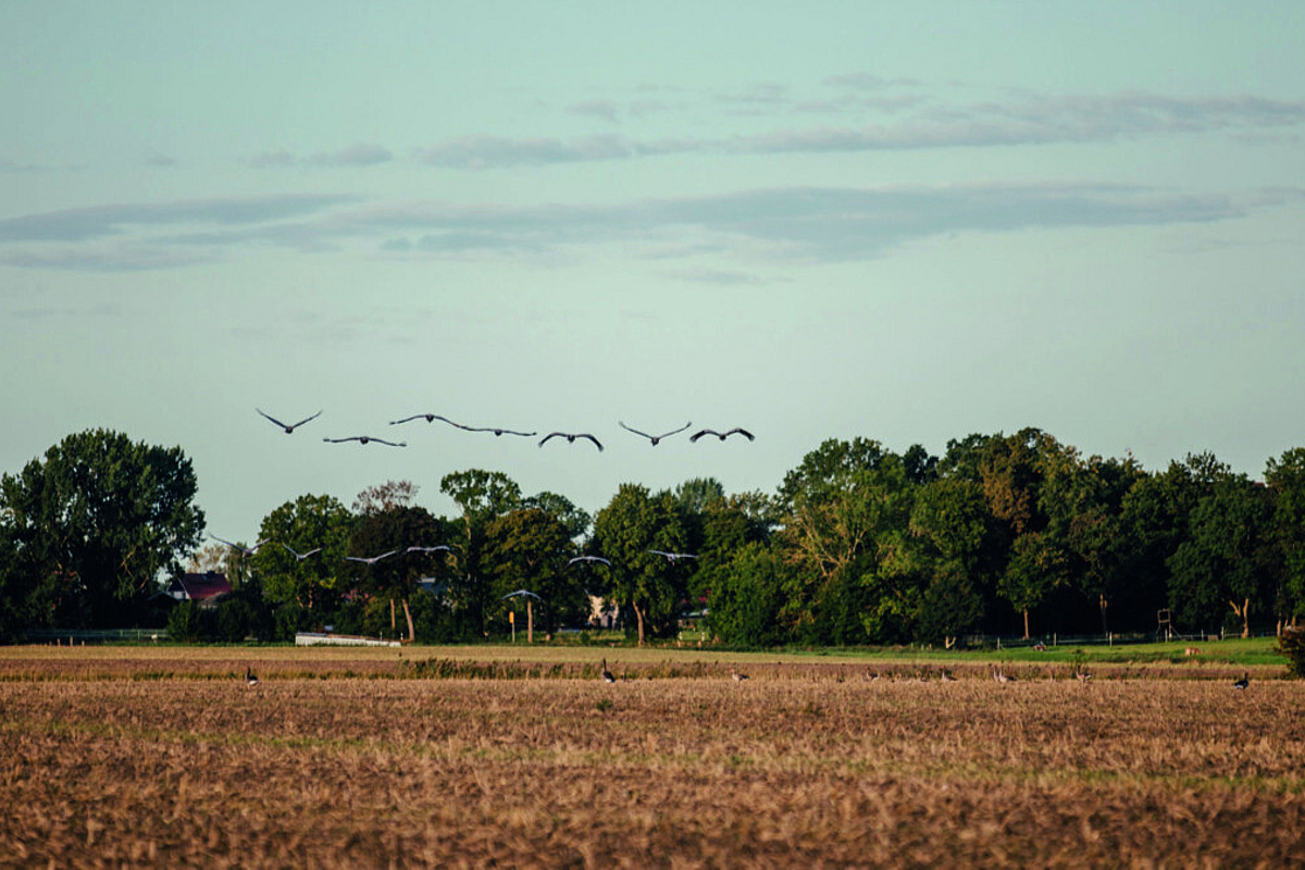 Haus Kauf 18442 Groß Kordshagen Weite Boddenlandschaft rund um das Resort