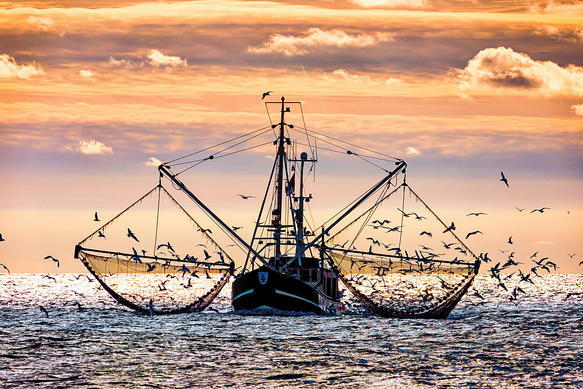 Wohnung Kauf 26553 Dornum Freilenzen in Dornum