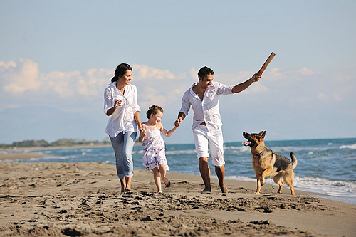 Ostseeurlaub mit Familie mit Hund