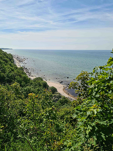 Strand auf Rügen